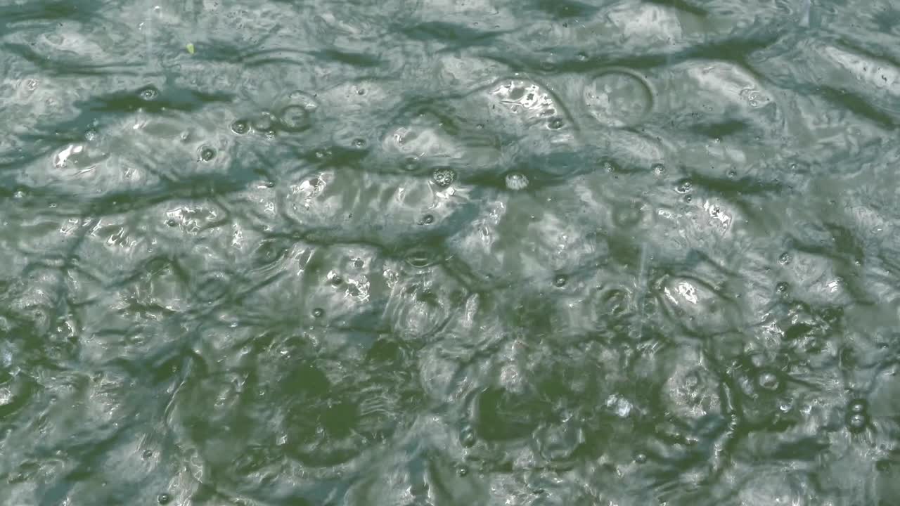 파운드에 물방울.