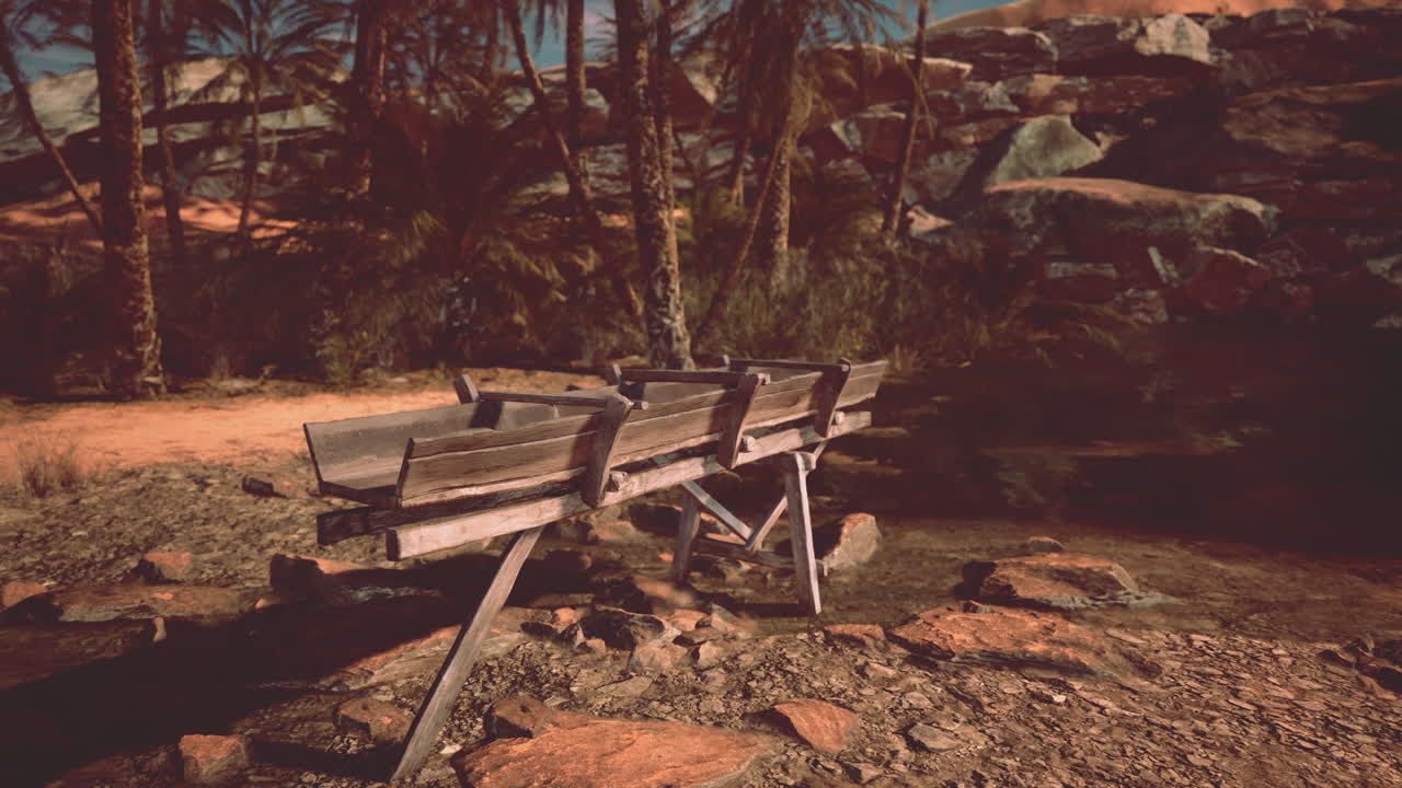 un banco de madera en un oasis del desierto