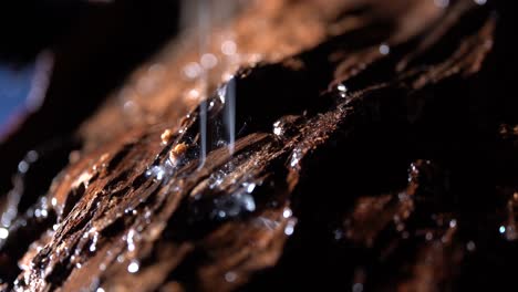 close up shot of water drops falling onto textured wood in a river landscape scene.