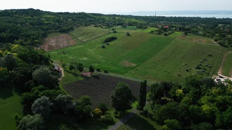 Drone-perspective-close-up-over-a-field