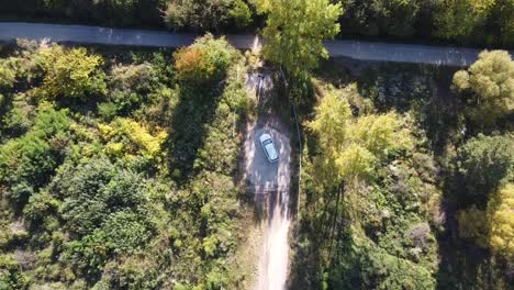 el coche se detuvo en el callejón sin salida viejo puente en el bosque de crecimiento excesivo