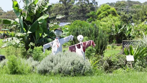 static view of a scarecrow in a vibrant garden