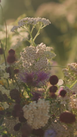 primer plano de hermosas flores silvestres a la luz natural del sol, con el viento soplando suavemente a través del ramo, creando un movimiento suave, persona parcialmente borrosa en el fondo
