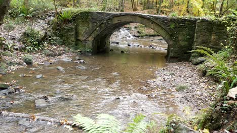 Bosque-Otoñal-Que-Fluye-Bosque-Corriente-Piedra-Arco-Puente-Desierto-Follaje-Dolly-Derecho