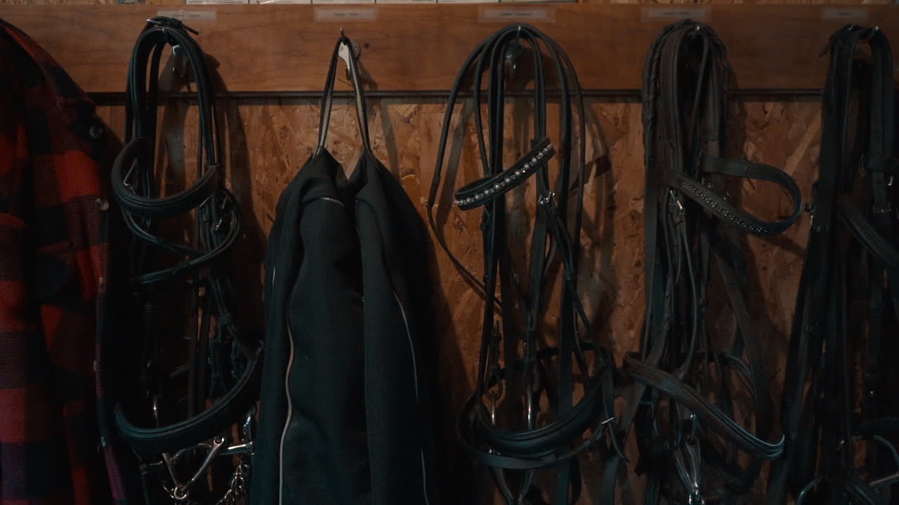 Horse bridles hang on hangers in a tack room.