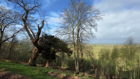 spring sunshine and high winds on a glorious woodland scene overlooking the worcestershire countryside, england with blue sky, white clouds and lush farm land
