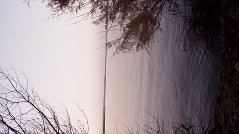 Vertical-video-of-peaceful-calm-lake-water-at-sunrise,-beautiful-scenery,-static