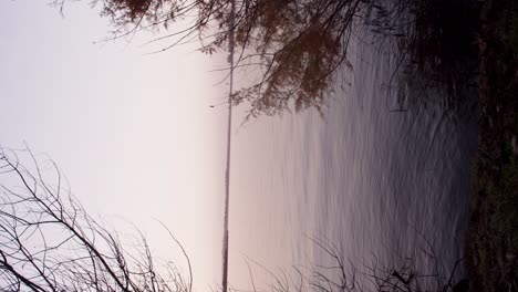 vertical video of peaceful calm lake water at sunrise, beautiful scenery, static