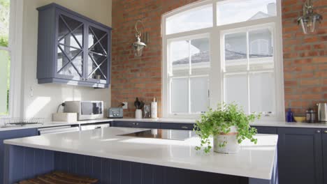 interior of open plan kitchen and dining room with plant on countertop