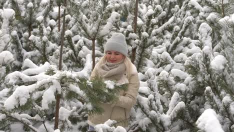 Beautiful-woman-standing-among-snowy-trees-in-winter-forest-and-enjoying-first-snow.-Woman-in-winter-woods.