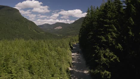 aerial dolly in of a jeep driving on a dusty hillside road surrounded by a dense green pine forest, mountains in background, british columbia, canada