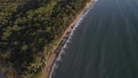 Pintoresca-Playa-Wangetti-Con-Exuberante-Vegetación-En-El-Norte-De-Queensland,-Australia---Toma-Aérea-De-Drones