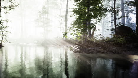 Pantano-De-Estanque-Con-Atmósfera-única-Y-Niebla-Debajo-De-Los-árboles