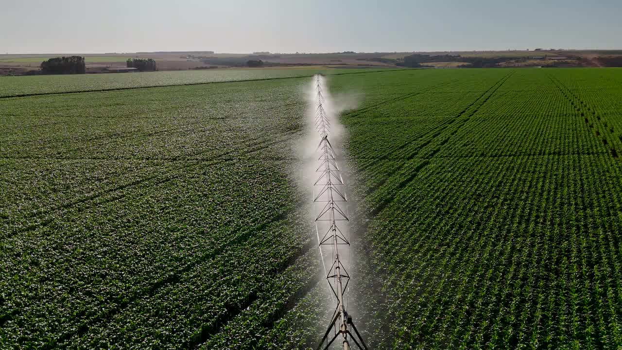 Drone view of corn field being irrigated by center pivot system - Goiás, Brazil