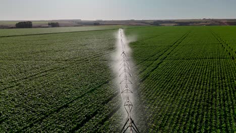 drone view of corn field being irrigated by center pivot system - goiás, brazil
