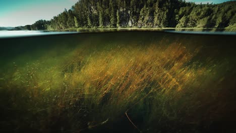 split over-underwater view