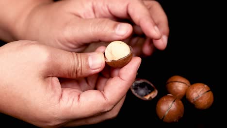 Hands cracking and revealing macadamia nuts