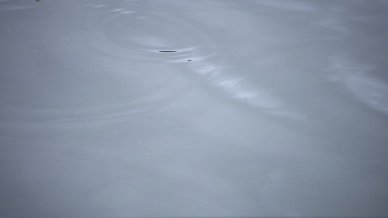 물속의 방울의 느린 움직임 연못의 비가 오는 날 클로즈업