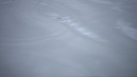 a slow motion of rain drop in the water the pond rainy day closeup