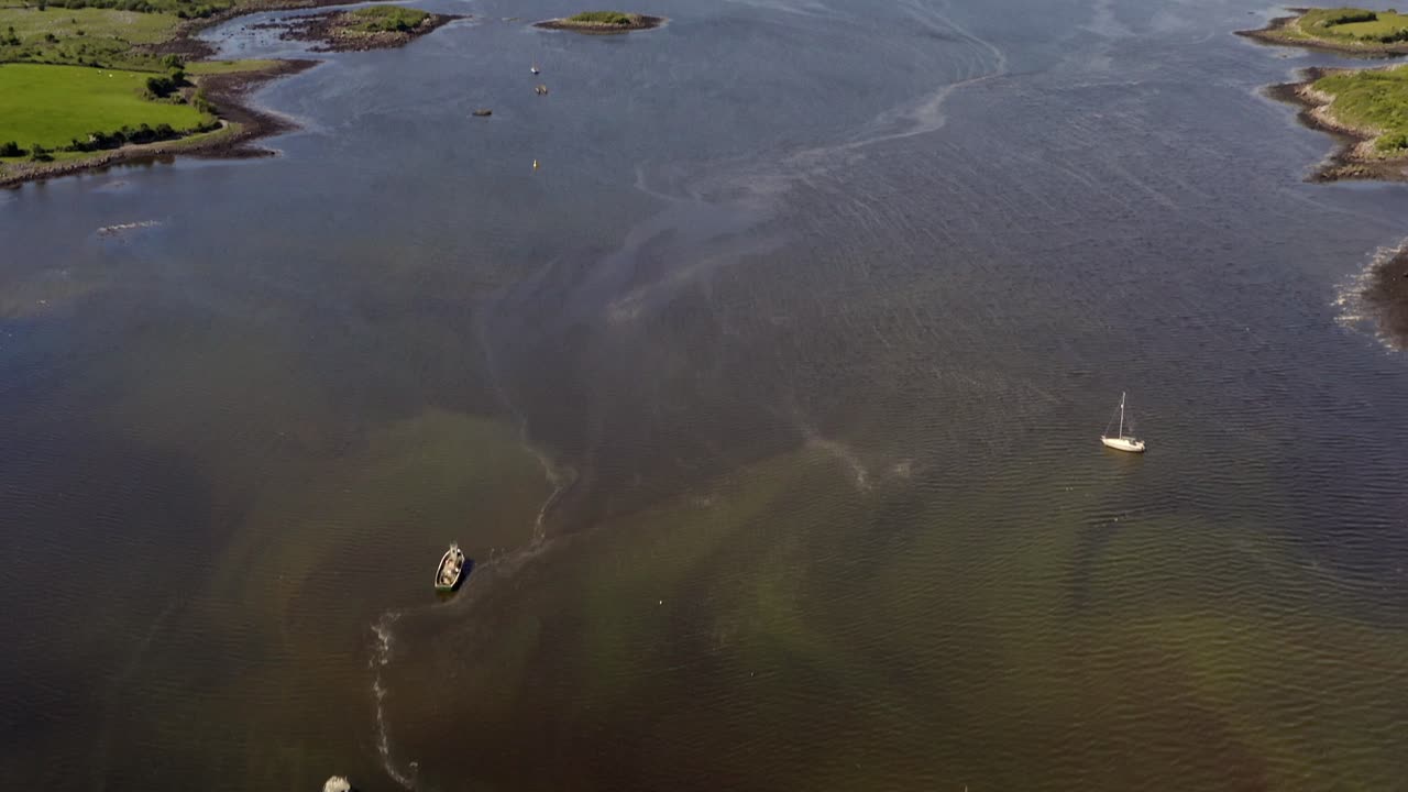 키바라 만 에서 큰 해조류 꽃 이 피고 있다