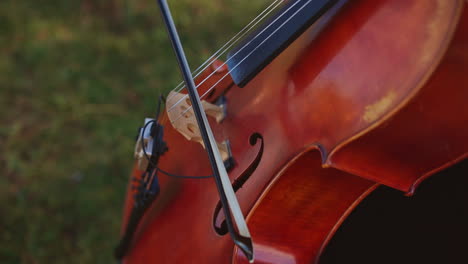 musician playing classical music on bass-viol. woman in black clothes moves the bow by the cello strings. close up. green grass backdrop in blur.
