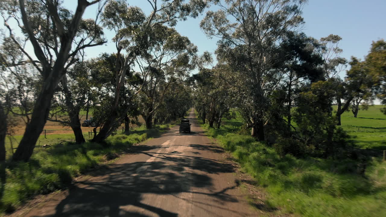 나무 캐노피 아래 도로를 따라 차량을 따라가는 후면 샷