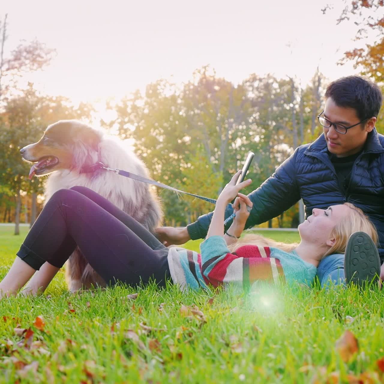 개 2와 함께 공원에서 휴식을 취하는 젊은 다민족 부부