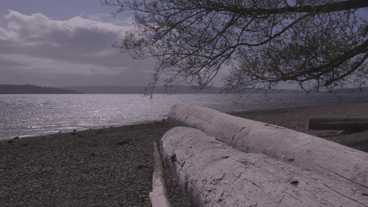 пьюджет-саунд, штат вашингтон