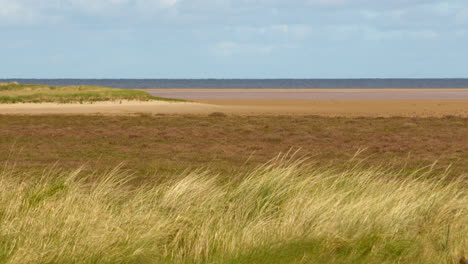 wide-shot-of-sand-dunes-with-Marram-grass-leading-to-the-beach-at-mud-flats-Saltfleet,-Louth,-Lincolnshire