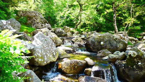 Clean-fresh-cascading-mini-waterfall-rock-pools-from-mountain-woodland-stream