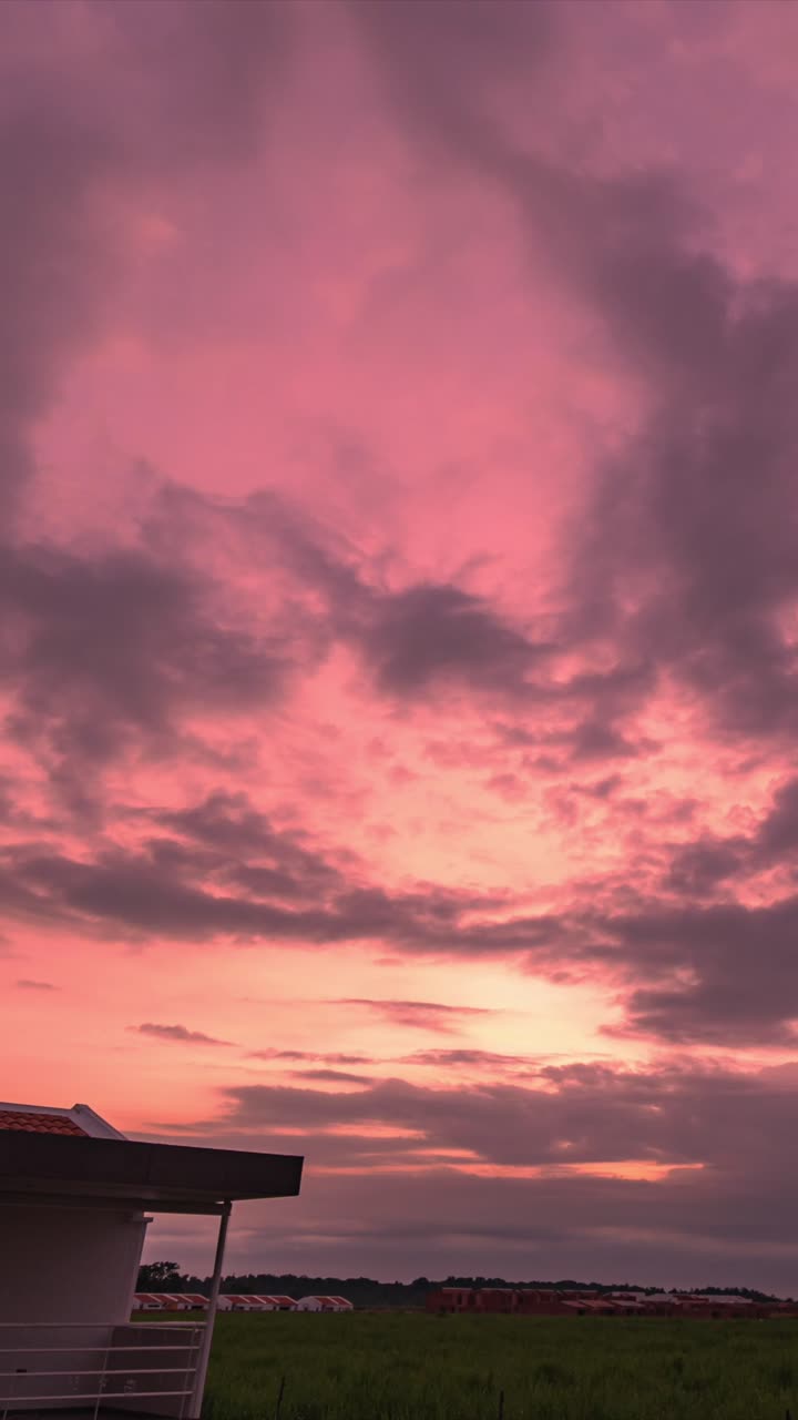 Timelapse Sunrise. Clouds With Pink Purple Skies. Low Angle. Vertical