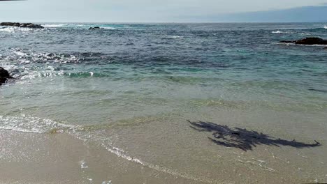 Blue-green-ocean-waves-hitting-rocks-at-Seal-Rock-Beach,-17-mile-Drive-Spanish-bay-in-Monetery,-California