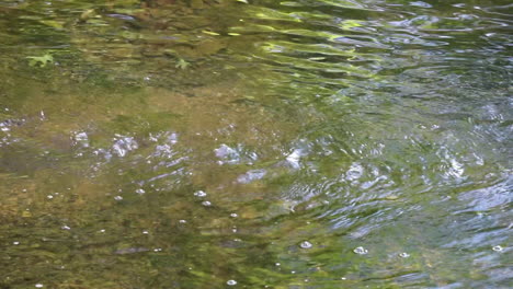 Panning-shot-of-creek-water-flowing-downstream-in-slow-motion