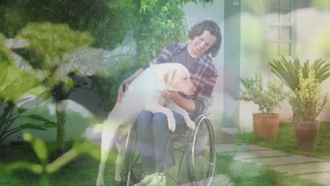 animation of grass over disabled caucasian man sitting in wheelchair with his dog