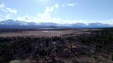 video aéreo 4k 30fps en la carretera desde tok, alaska