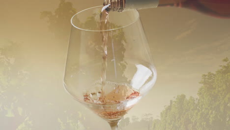 composite of white wine being poured into glass over vineyard background