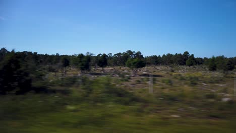 vista de la naturaleza rural desde el automóvil en gotland, suecia, toma de pov
