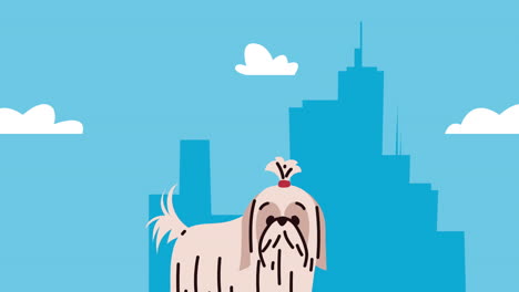 cute shih tzu in a cityscape