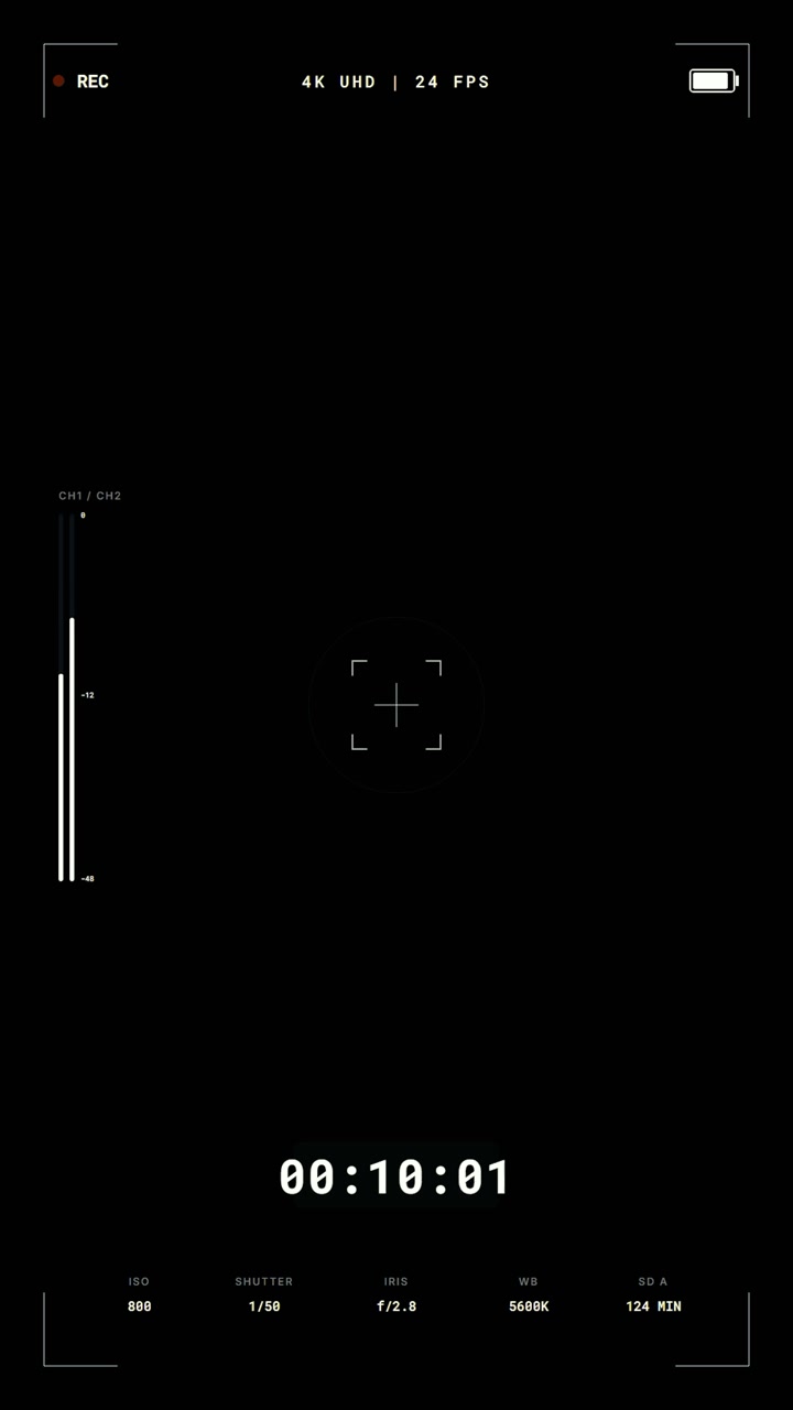 Digital Camera Viewfinder Interface Overlay