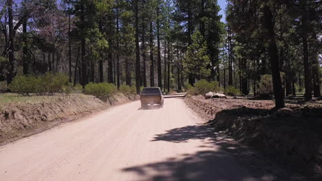 dusty suv driving on winding dirt road through the forest