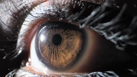 human-closing-the-eye-extreme-close-up-view