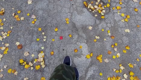 persona anónima caminando entre hojas caídas de otoño en el suelo