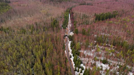 Aerial-view-of-river-flowing-through-forest