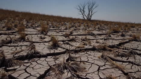 dry, cracked earth landscape with sparse vegetation