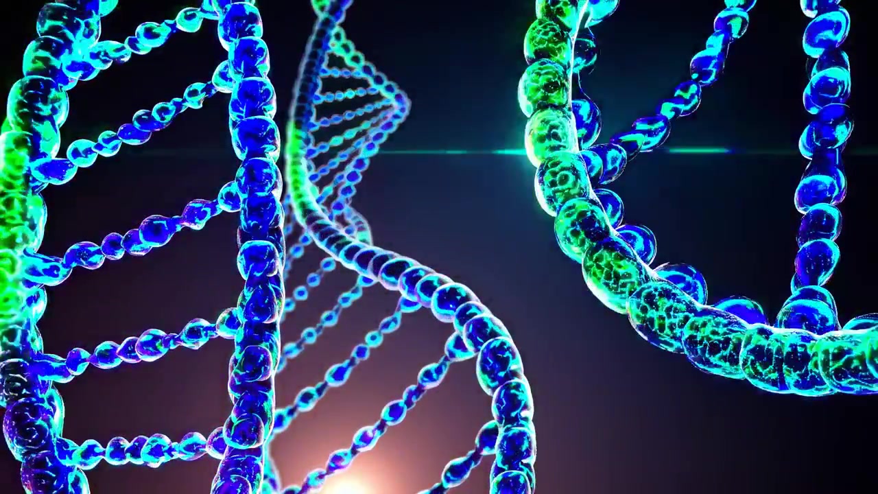 Rotating DNA Double Helix Strands in Digital Space