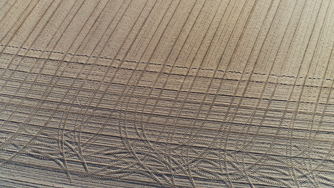 공중 신선한 재배 농업 분야 gmo 무료 식품 생산