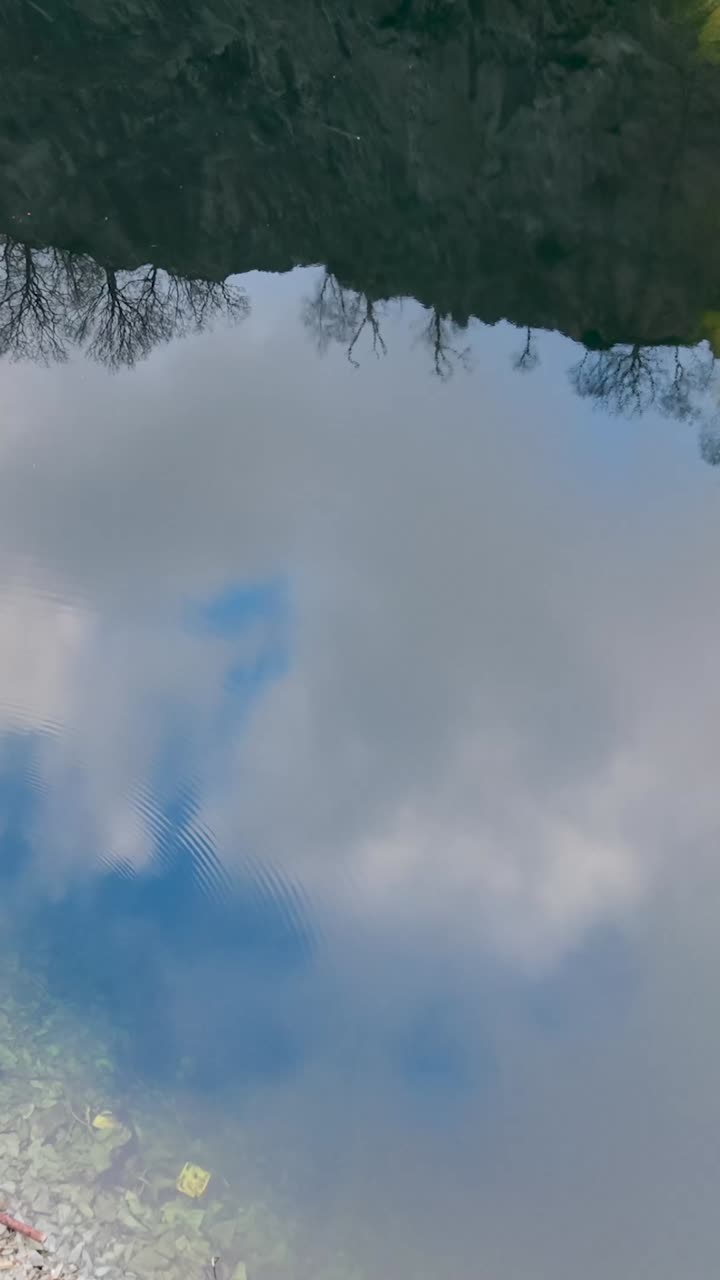 Ripresa aerea verticale di un drone in retromarcia sul lago di Hodge Close Quarry, con riflessi di alberi invernali spogli e cielo blu con nuvole. La clip termina mostrando la costa e l'intera distesa di acqua calma