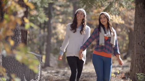 lesbian couple in a forest holding hands walk towards camera