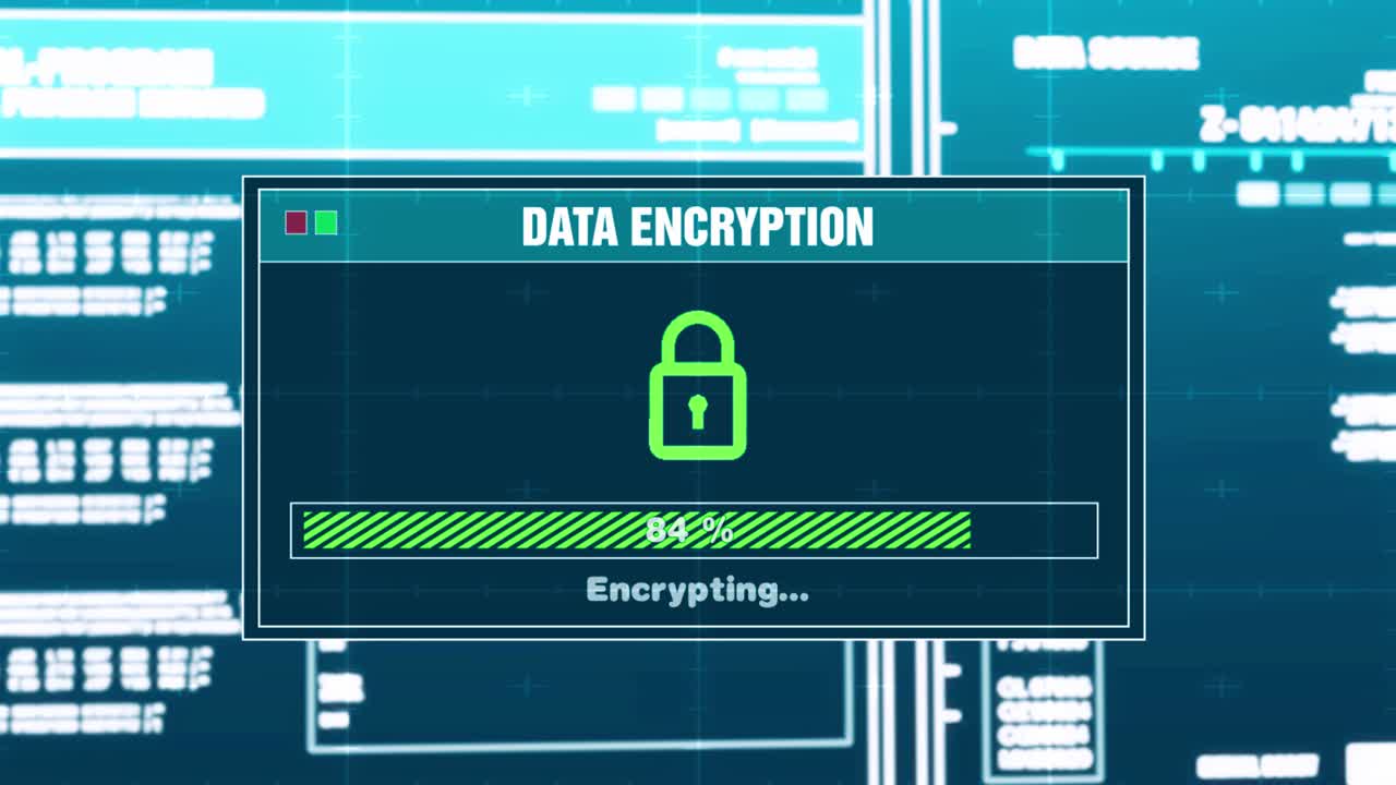 Data Encryption and Protection Process