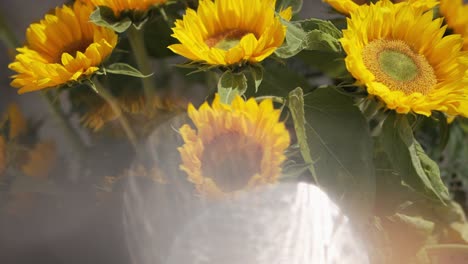 vibrant cluster of sunflowers basking in sunlight, their bright yellow petals creating a cheerful scene